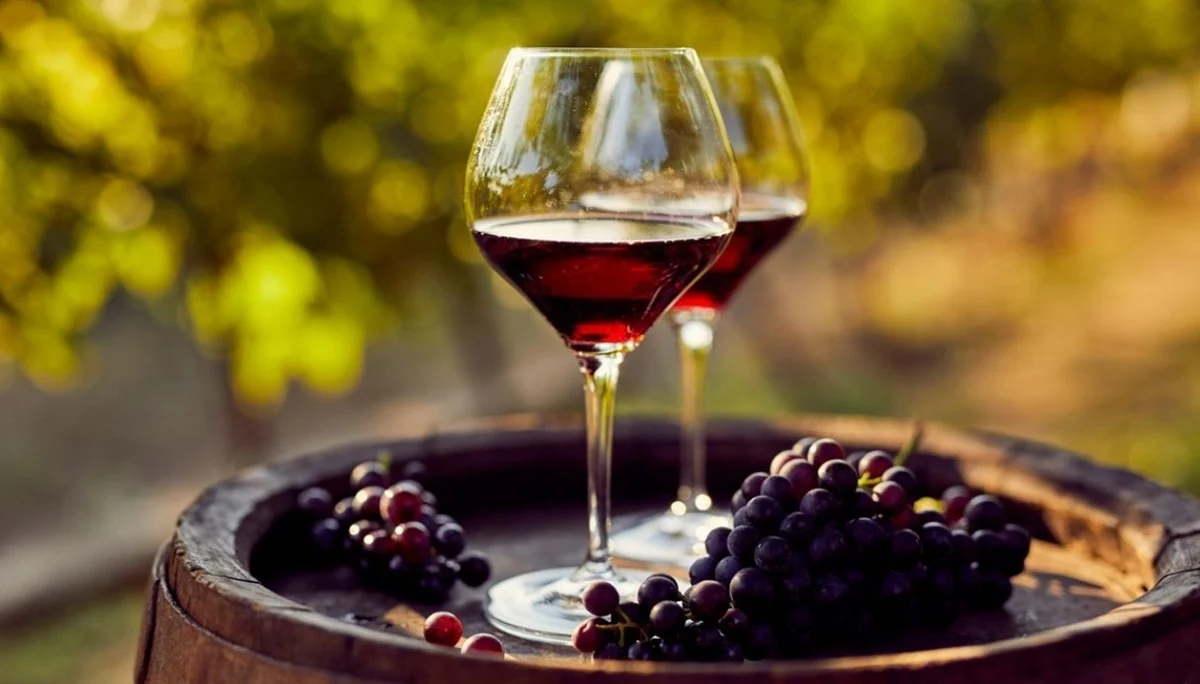 Festa del Vino San Martino
